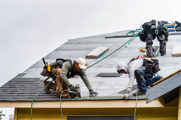 Professional Storm Damage Roof Repair technician working in Litchfield, MI